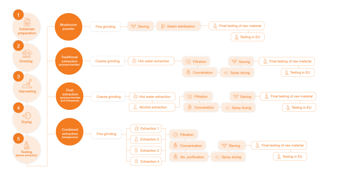 diagrama-extrakce-mycomedica-es