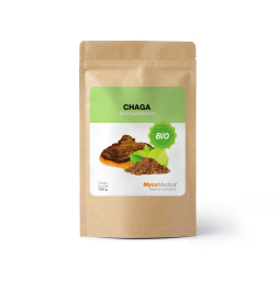 BIO Chaga - polvo