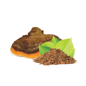 hover chaga prasek