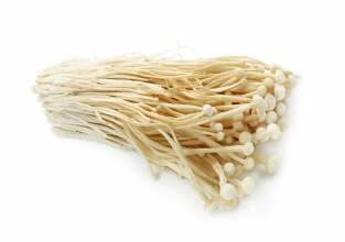 setas enoki